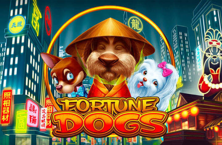 fortune dogs habanero
